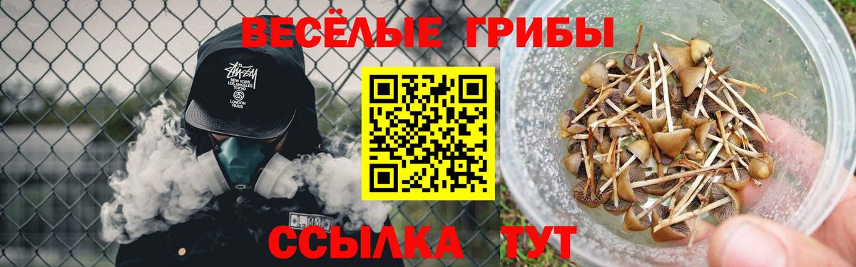 Псилоцибиновые грибы ЛСД  Вход с VPN  Галлюциногенные грибы Psilocybe  Краснокаменск 