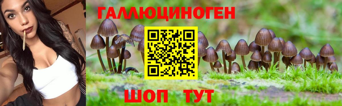 Псилоцибиновые грибы прущие грибы Краснокаменск
